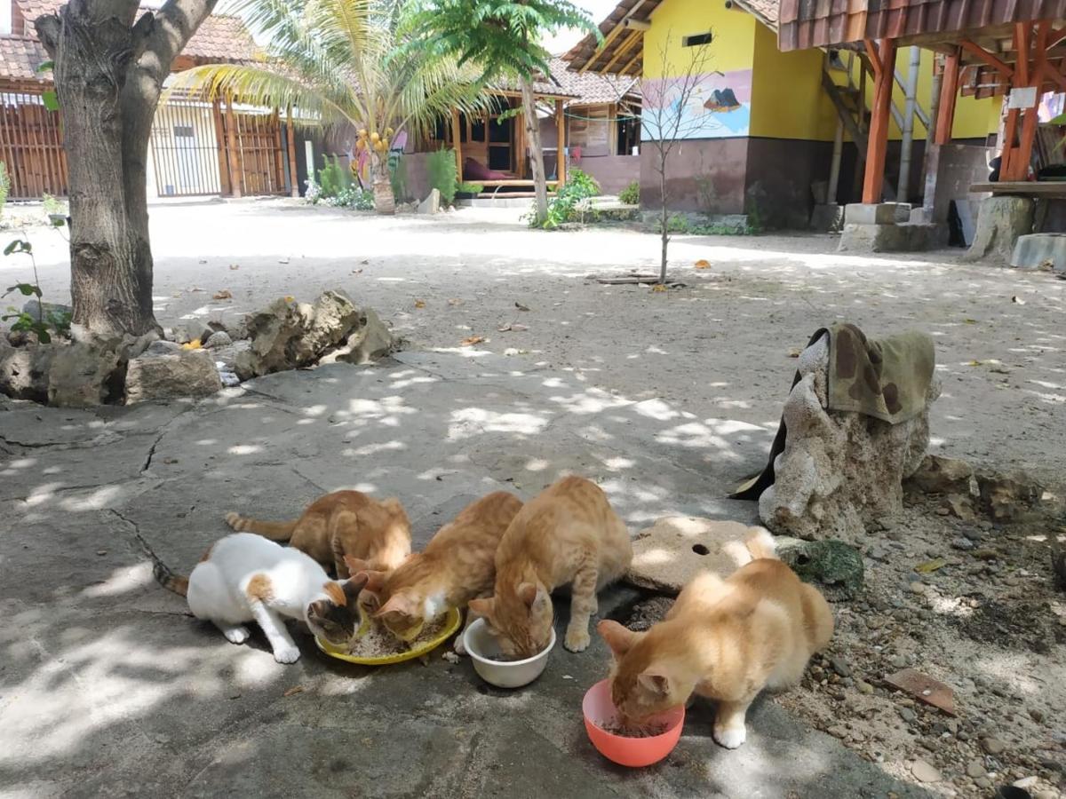 Harry'S Ocean House Watukarung Homestay Kalak Esterno foto